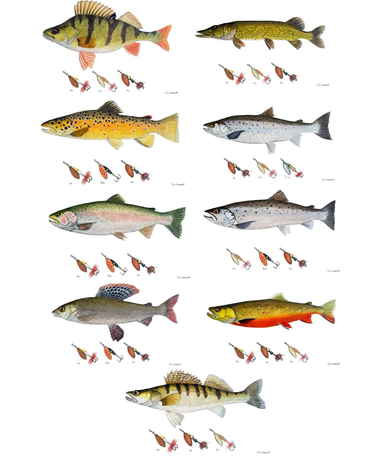 Myran Indrammet Fiske Plakat-Salmon