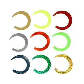 Pacchiarini's Wiggle Tail