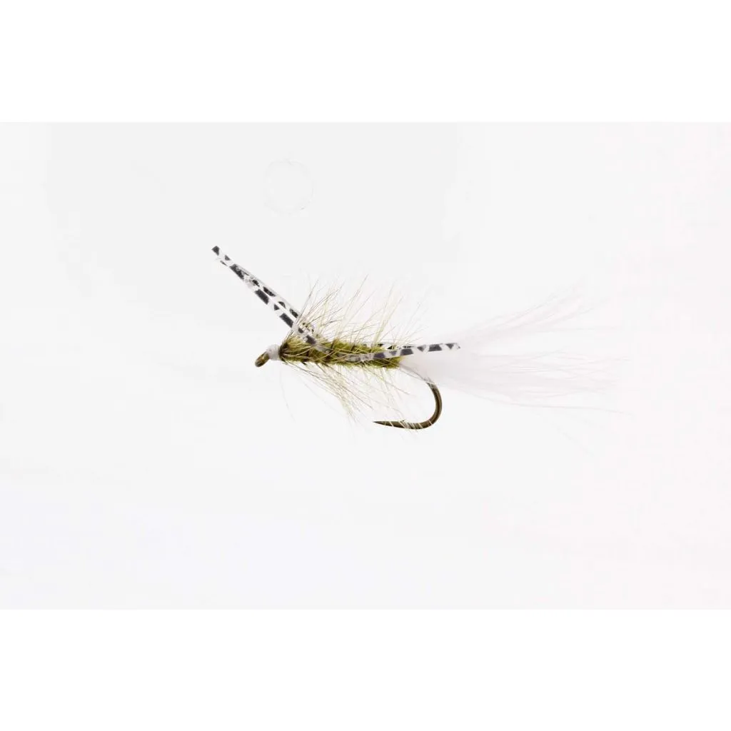 X-FLY Olive #6 − Unique Flies