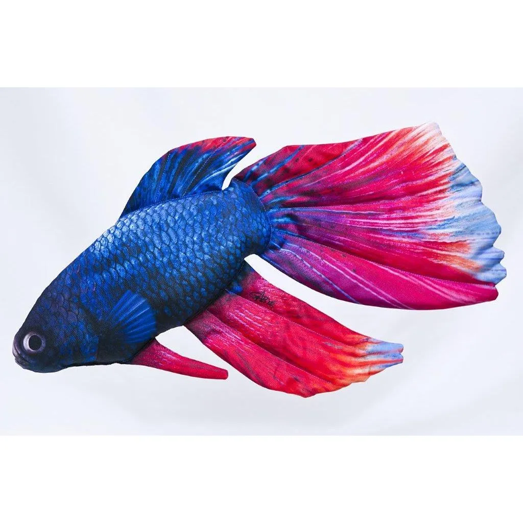 Gaby Pudefisk Kampfisk - 53cm