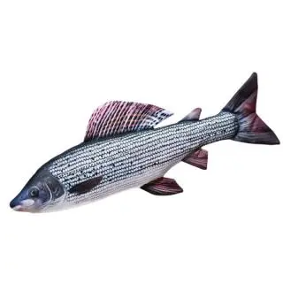 Fiskebamser og trofæer