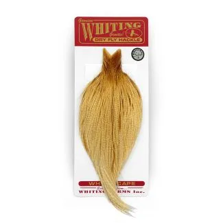 Whiting Bronze Barred Medium Ginger