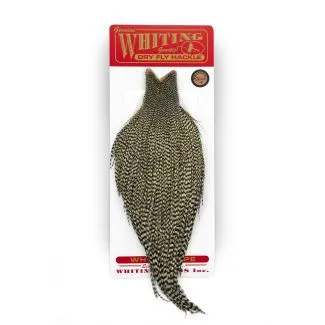 Whiting Bronze Cape Grizzly
