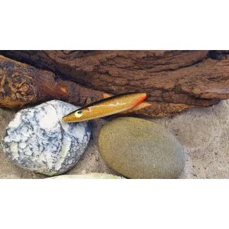 JK Zinkadusen - Sort/Guld - 10g