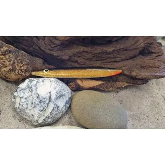 JK Zinkadusen - Sort/Guld - 16g