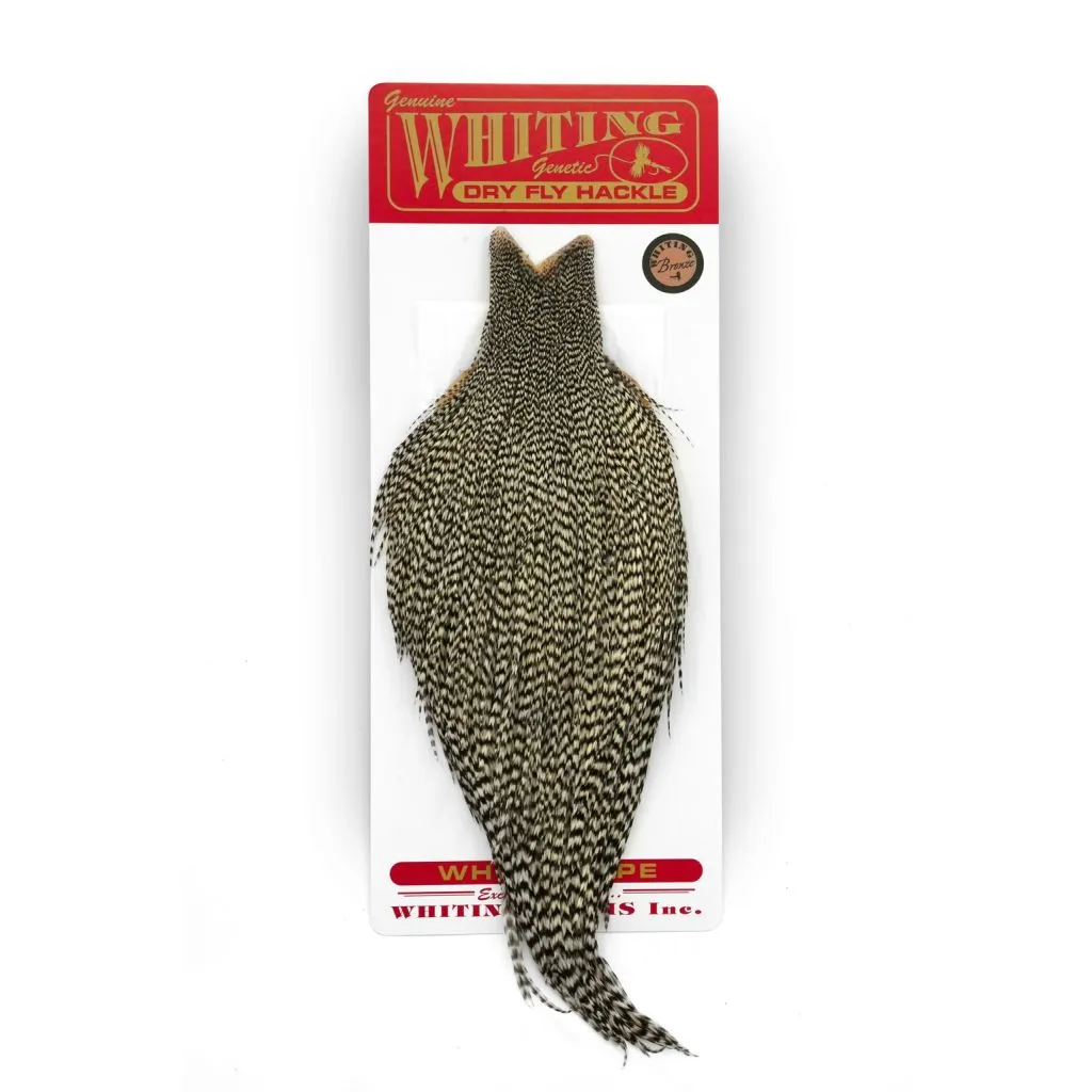 Whiting Bronze Cape Grizzly