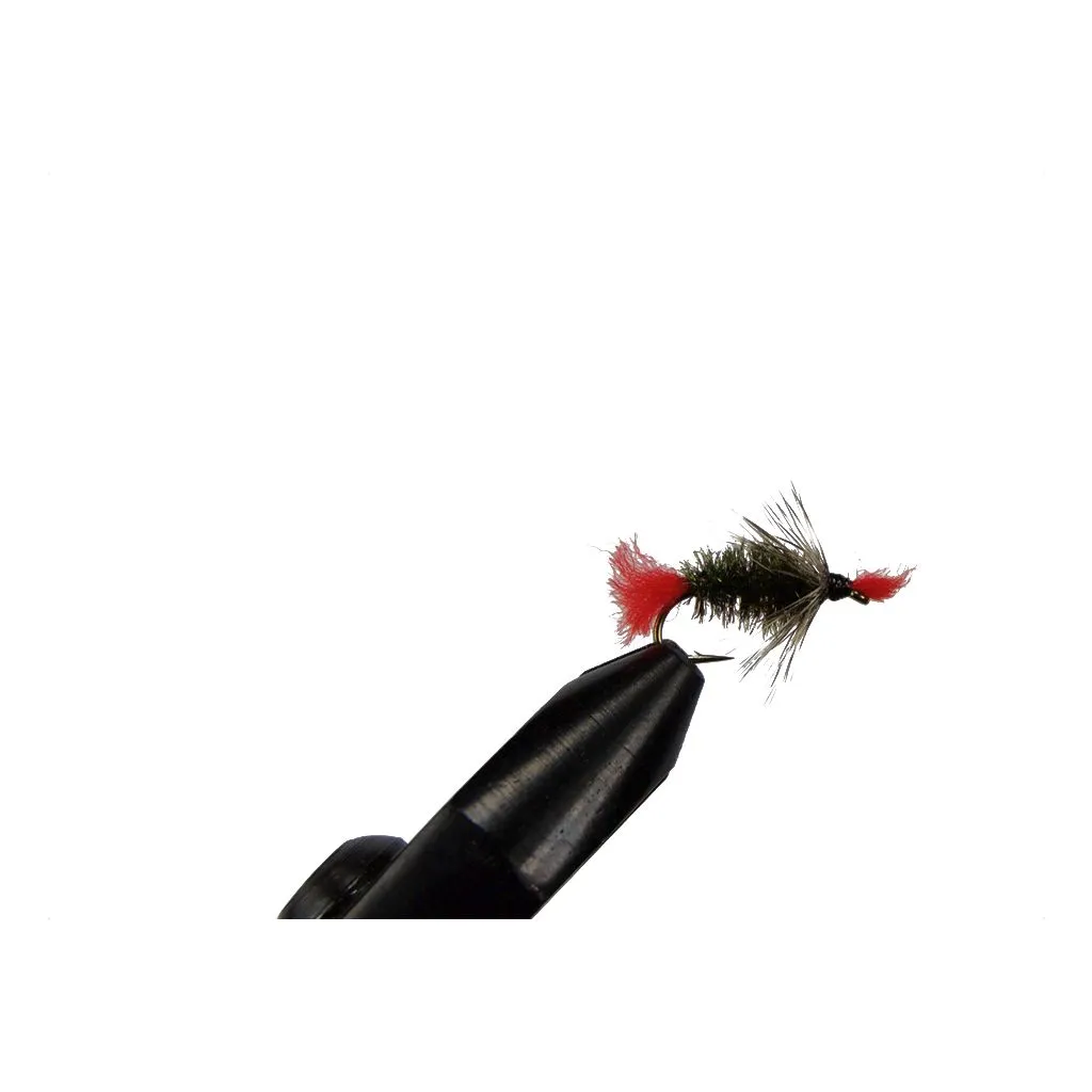 Bradshaw Fancy #12 - Unique Flies