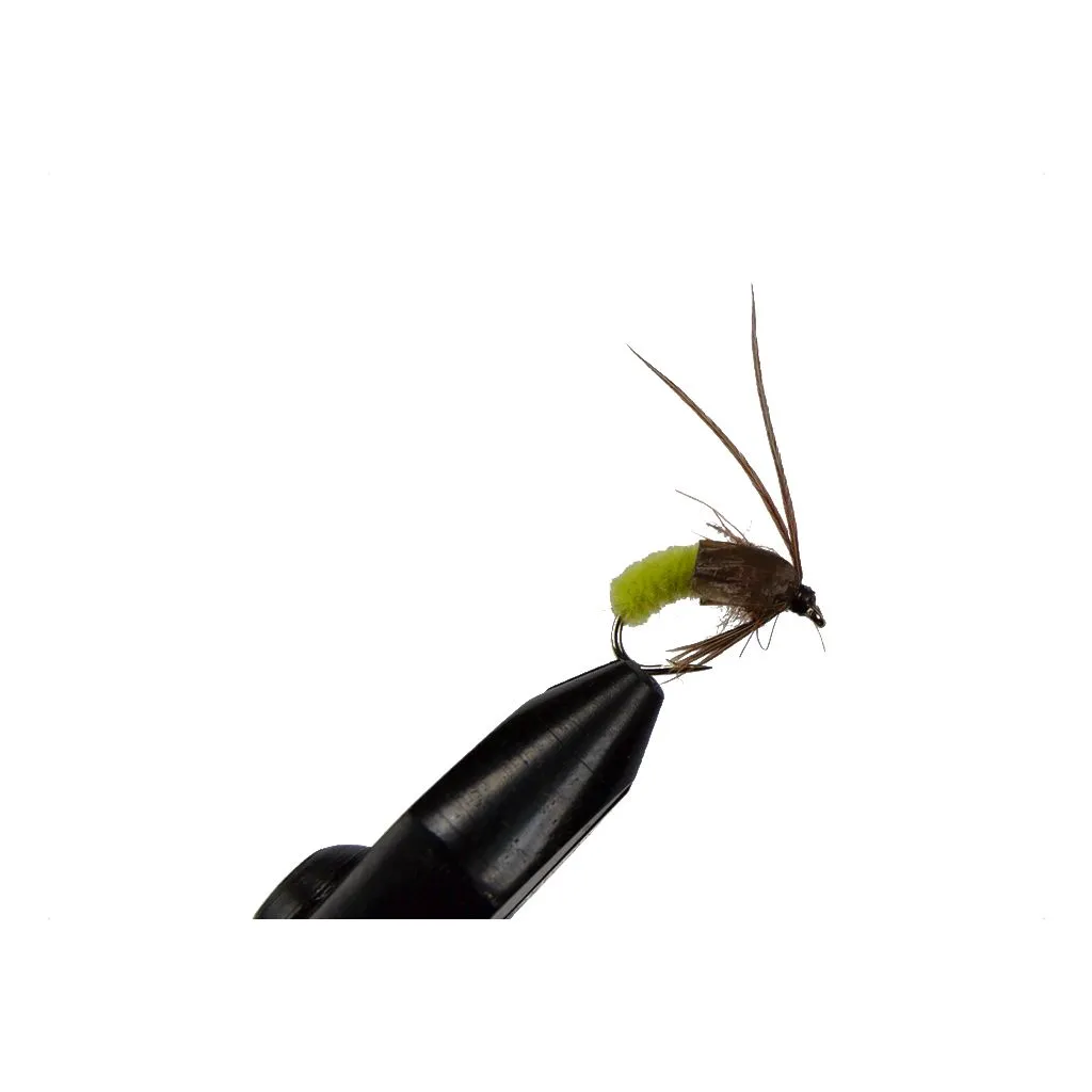 Pupa Chartreuse #12 - Unique Flies
