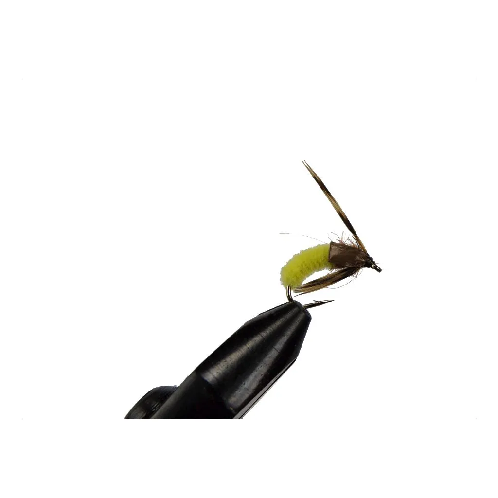 Pupa Yellow #12 - Unique Flies
