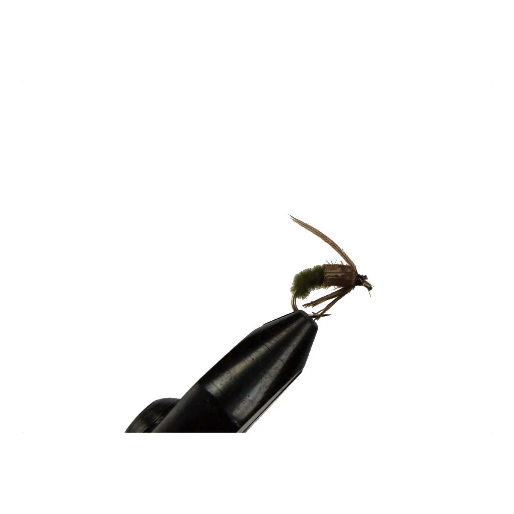 Pupa Dark Olive #12 - Unique Flies