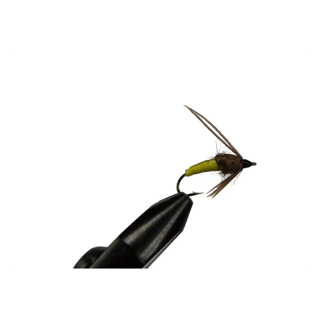 Limnephilus Pupa Yellow #10 - Unique Flies