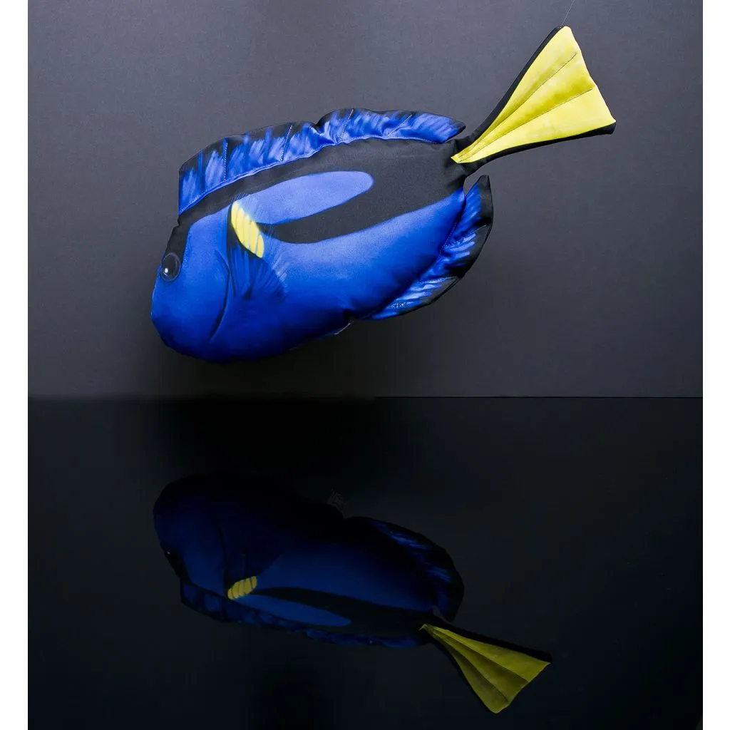 Gaby Pudefisk Paletkirugfisk / Dory - 56cm