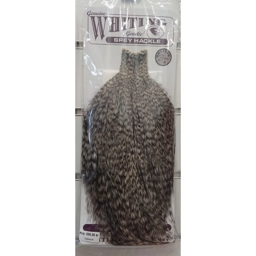 Whiting Spey Grizzley nakke 