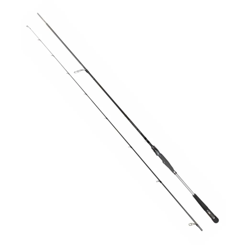 Daiwa Morethan AGS Spin