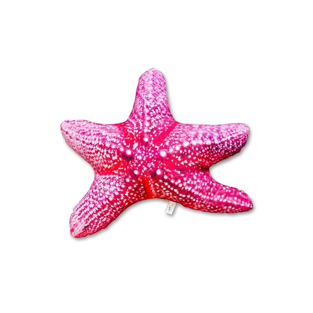 Gaby Pudefisk Søstjerne - 60cm