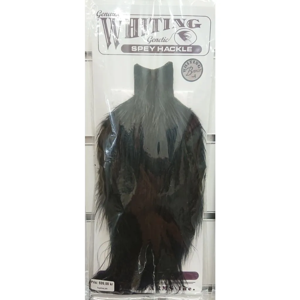 Whiting Spey Sort hane nakke