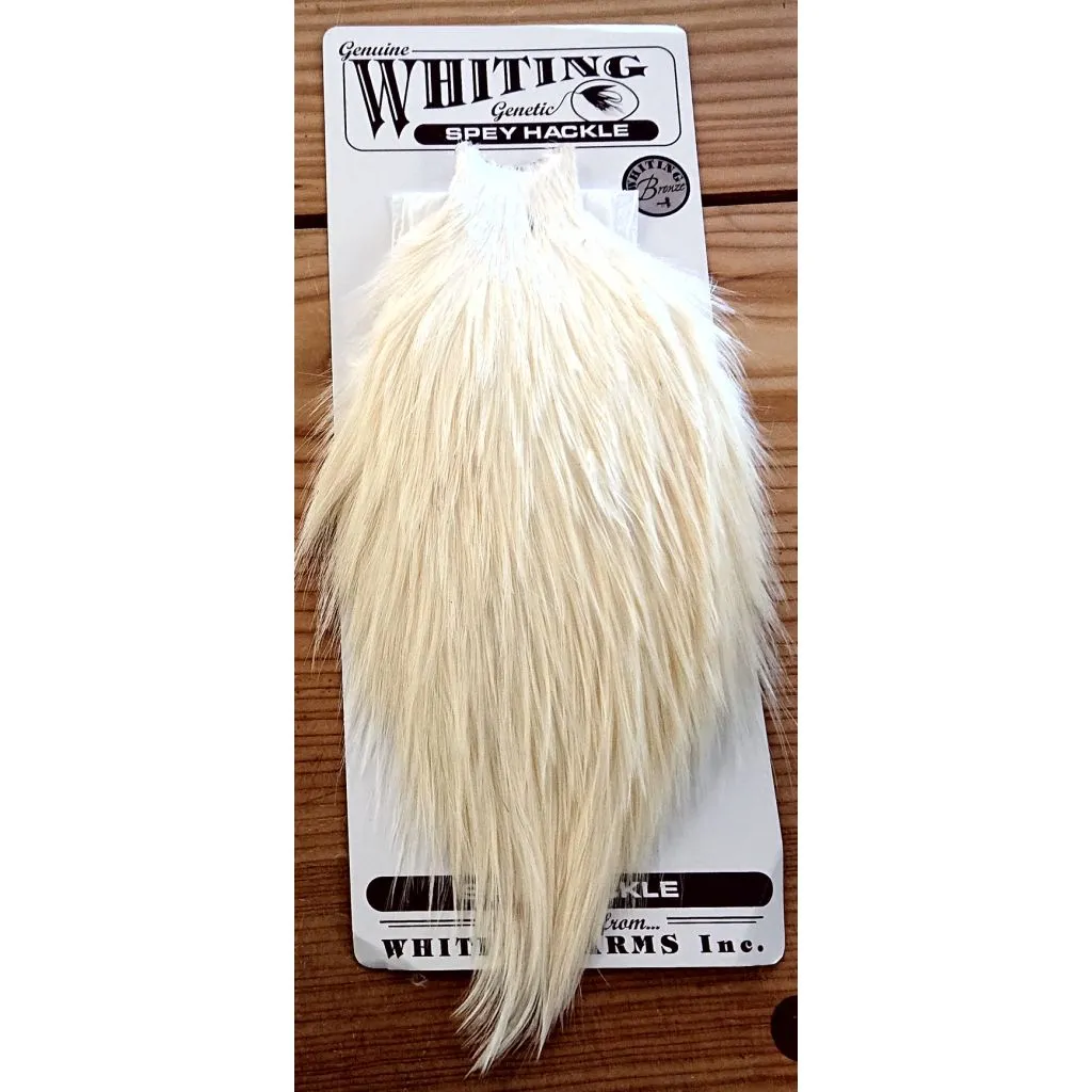 Whiting Rooster Spey - Bronze - Hvid
