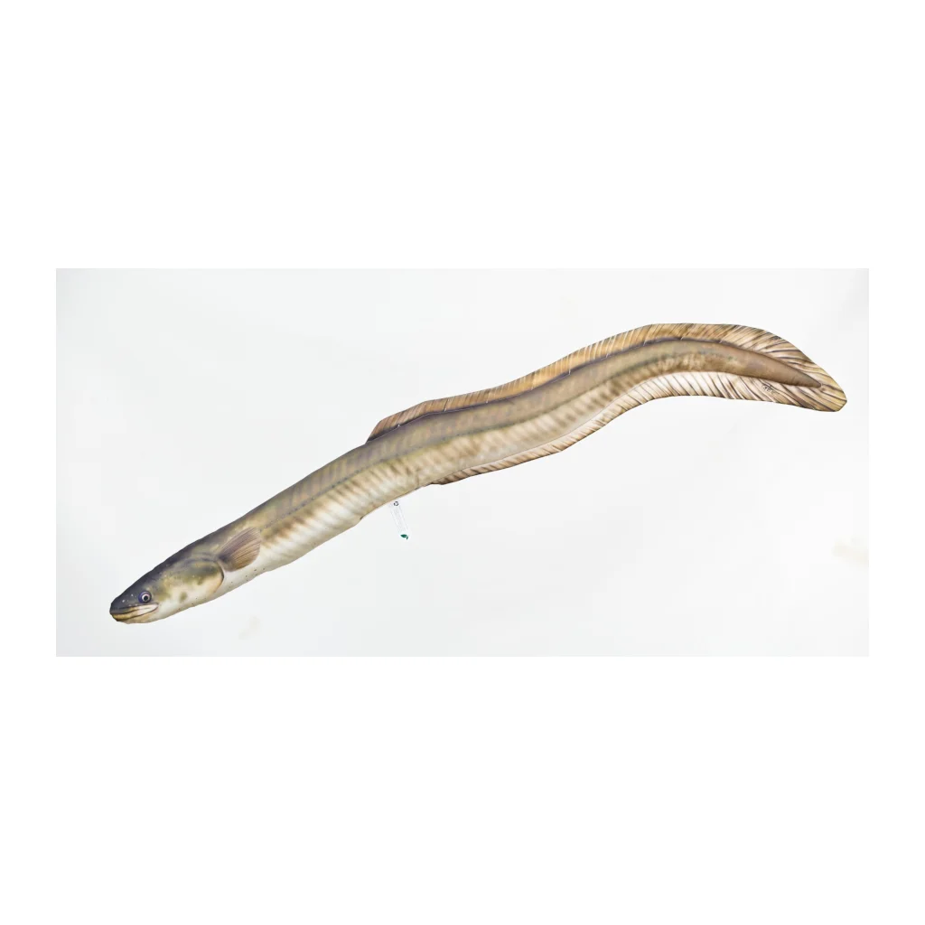 Gaby Gigant Ål - 115cm