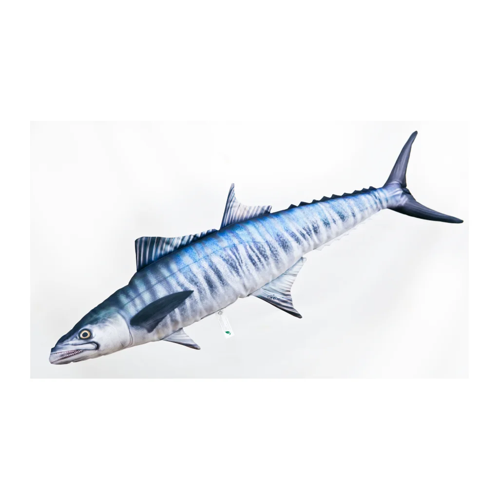 Gaby Pudefisk Gigant Spanish Mackerel - 97m
