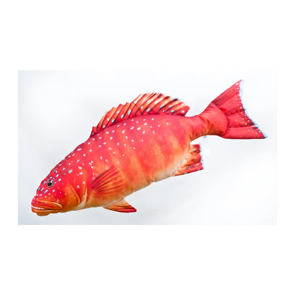 Gaby Pudefisk Gigant Coral Trout - 81cm