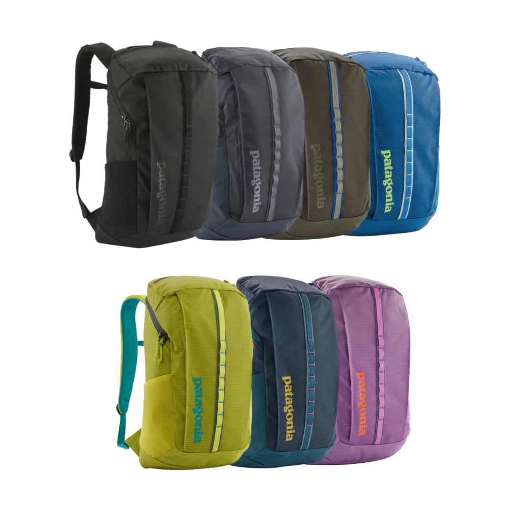 Patagonia Black Hole Pack 25L